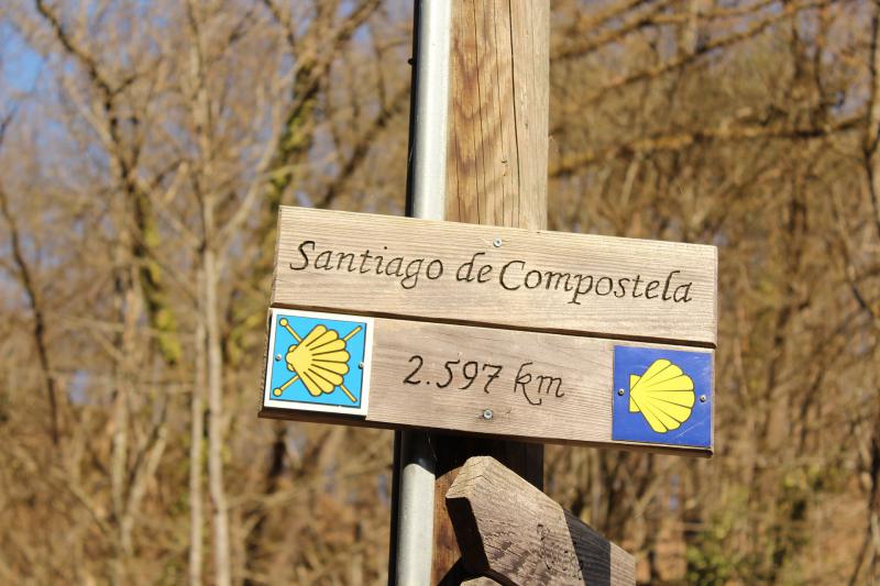 Ultimi 100 km da Sarria a Santiago di Compostela 