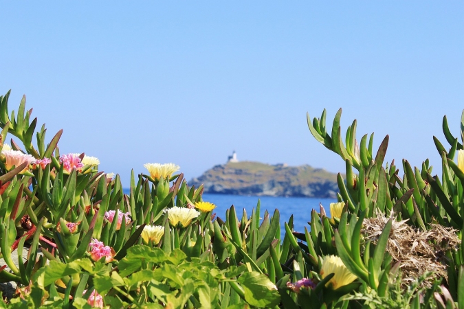 TOUR CORSICA ISOLA BELLA 8 GIORNI Partenze garantite